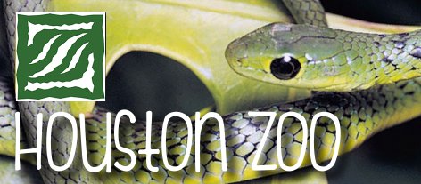 Houston Zoo's Youtube Channel